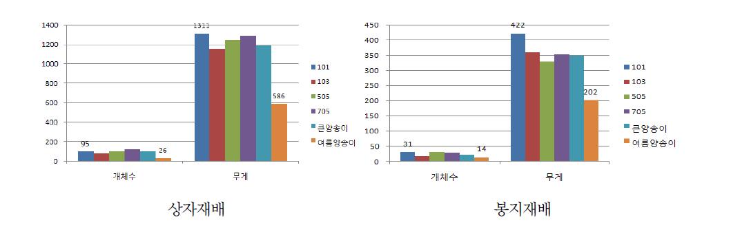 양송이 품종별 개체수 및 생산성 비교(온도조건시험 평균수치).