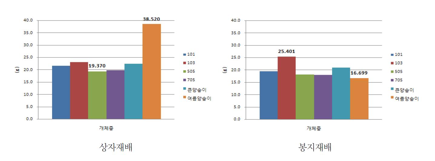 양송이 품종별 개체중 비교(온도조건시험 평균수치).