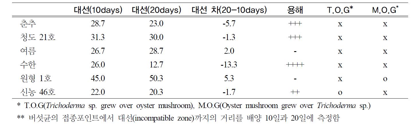 느타리 버섯균과 재배사에서 분리한 Trichoderma sp. JA-N-1 C-1의 대치배양