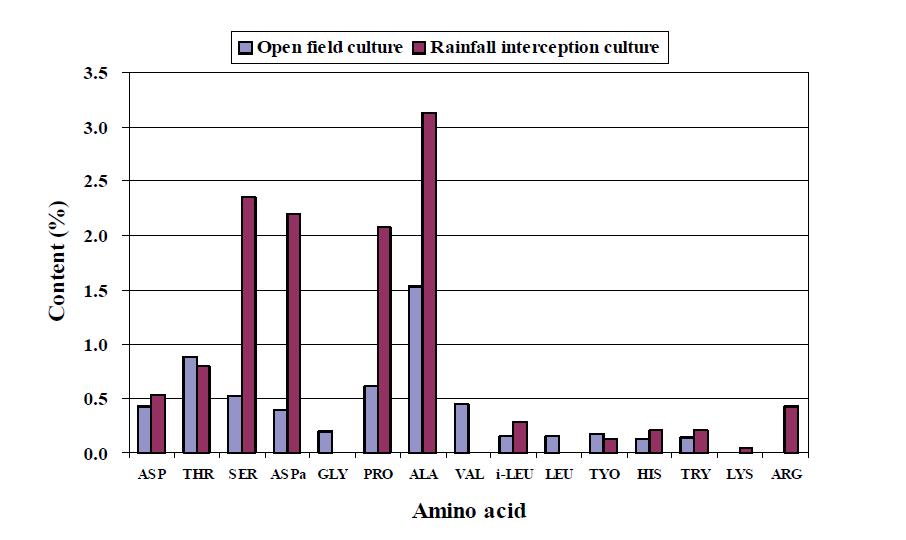 비가림 하우스 재배지와 노지재배지 아미노산 함량 비교.