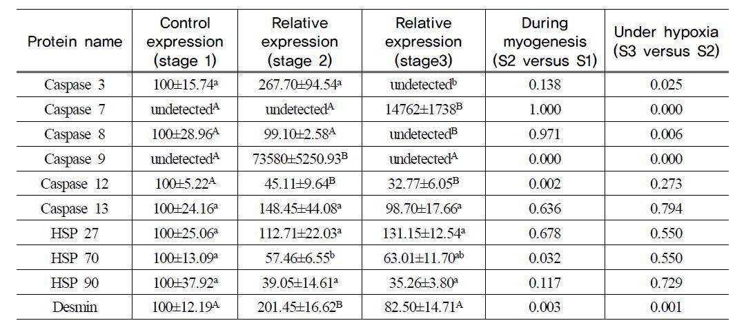 Expression of proteins related to apoptosis at the end of propagation (S1), differentiation and fusion (S2) and death (S 3) in beef m. longissimus