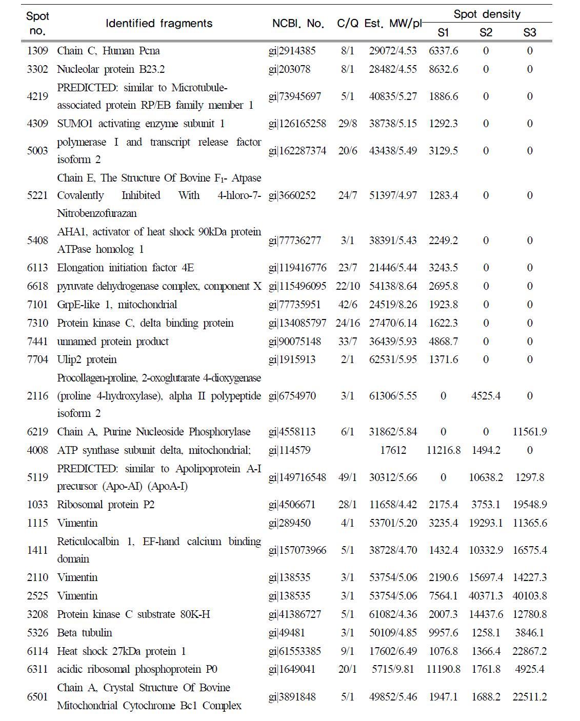 List of proteins and changes in spot density in arbitrary unit for the muscle cells at steps of proliferation (S1), fusion and differentiation (S2), chemical hypoxia induced by sodium azide (S3)