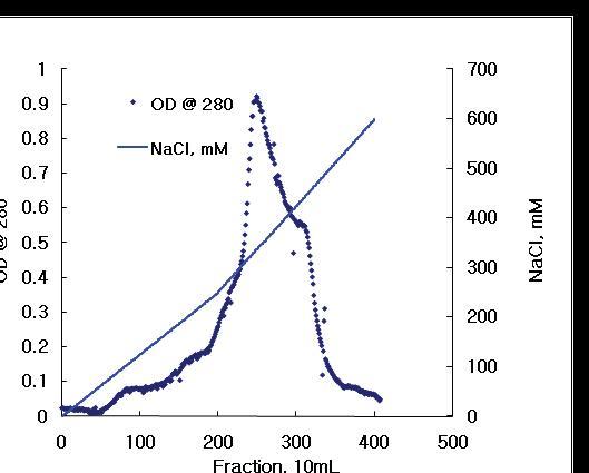 Elution profile of proteins determined at 280 nm from DEAE-Sephacel by a linear gradient method of NaCl from 0 to 600 mM.