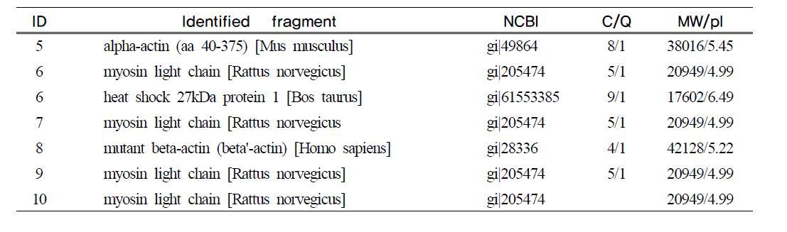 List of proteins identified differently changed at oxidation or reduction status by u-calpain or cathepsin B