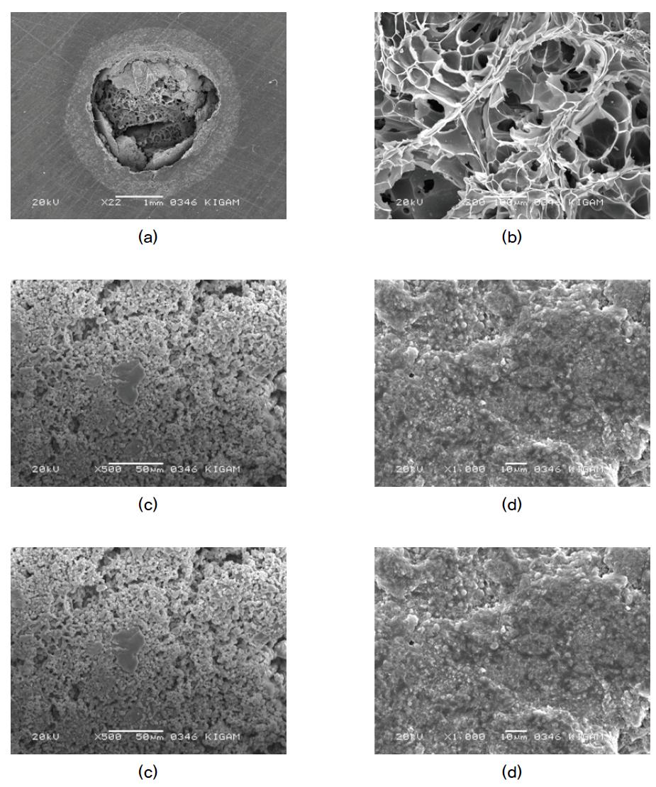 SEM micrographs of the improved calcined clay: (a) at the cross-section, (b) at the first layer, (c) at the second layer, and (d) at the third layer.