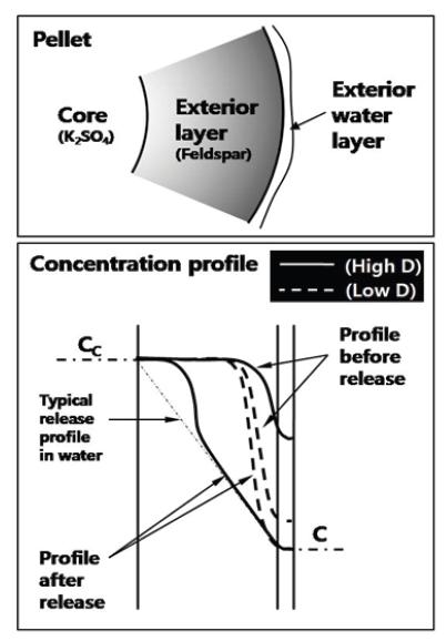 Concentration profile in granule.