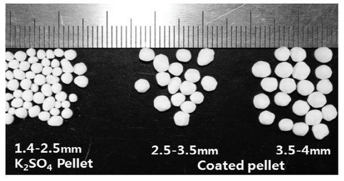 Photograph of granule samples.