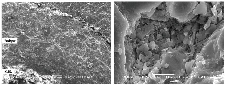 SEM photographs of granule samples.