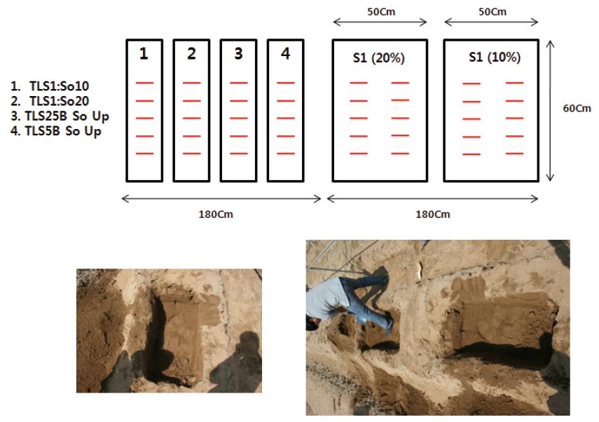 Eco-Soil을 이용한 인삼 재배 실험을 위한 실험장 배치도(2차).