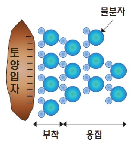 Relationship between soil particles and water molecules by adhesion and cohesion.