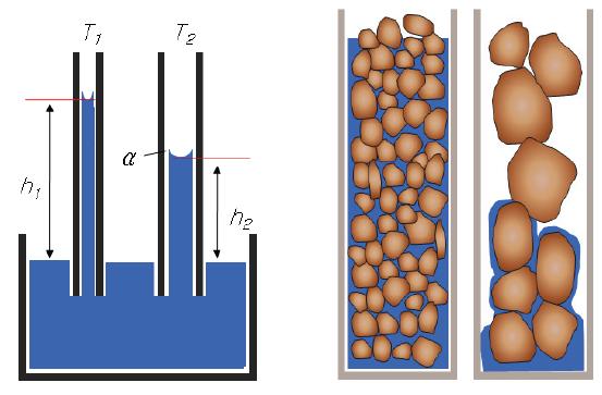 Effect on water table by relationship between diameter of soil particles and diameter of capillary tube.