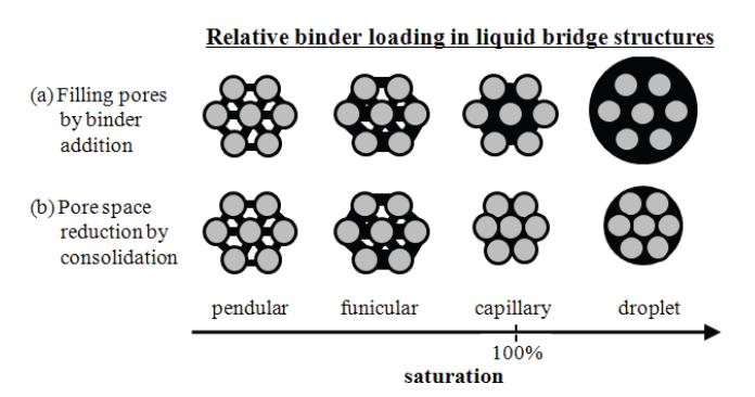 The structure of granules evolves with increasingbinder saturation.