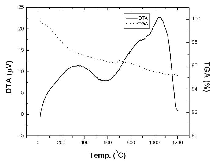 Analysis results of perlite by TGA and DTA.