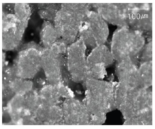 Microscope image of partial crosssection of the polished MCC-A.