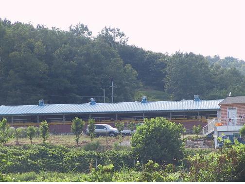 충남 예산 실험 농장(지역1) 돈사 건물의 모습.