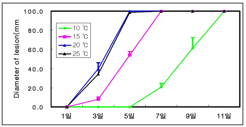 Penicillium digitatum의 온도별 병원성