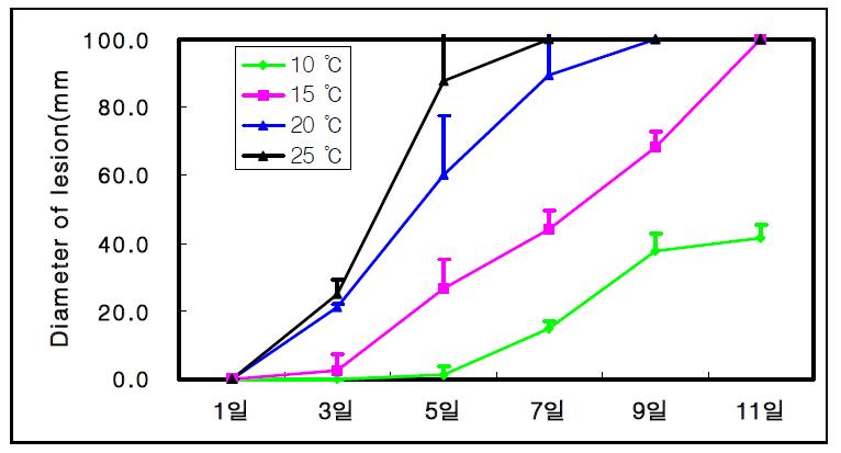 Penicillium italicum의 온도별 병원성