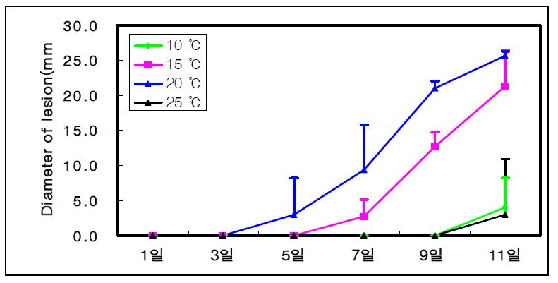 P. polonicum strain Bell 10-2의 온도별 병원성