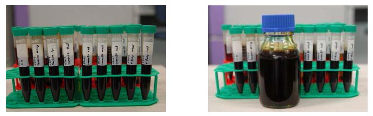 The manufactured antifungal agents using crude extract and surfactant.