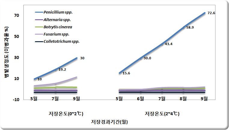 저장 중 병해 발생소장.