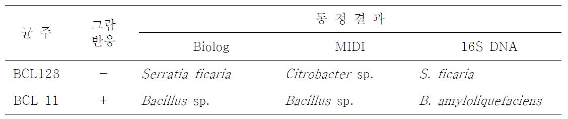 배 저장병 방제용 선발 유용미생물 균주의 동정