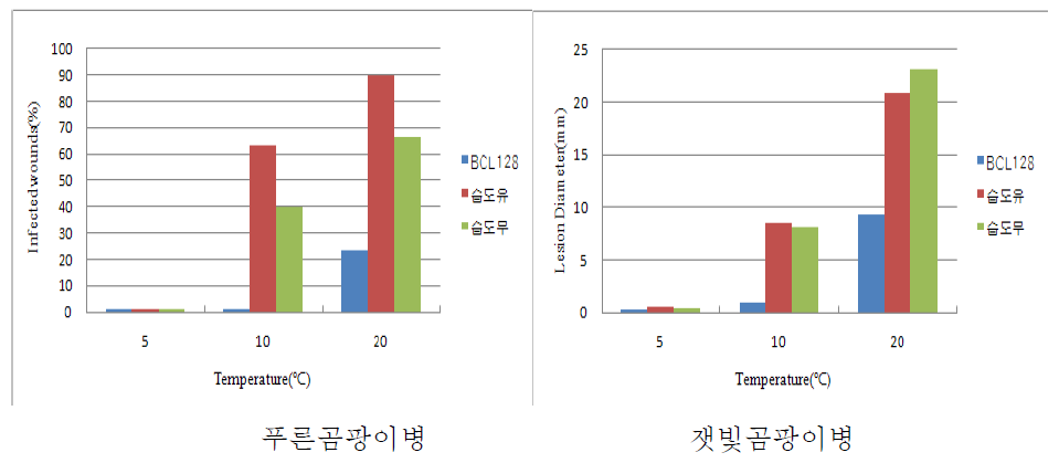 BCL128균주 처리시 환경요인에 따른 주요 저장병 발생 억제.