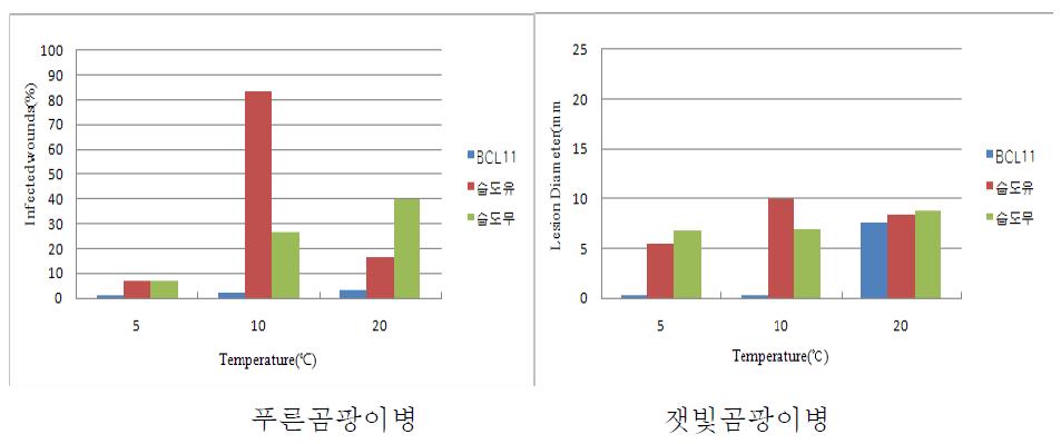 BCL11균주 처리시 환경요인에 따른 주요 저장병 발생 억제.