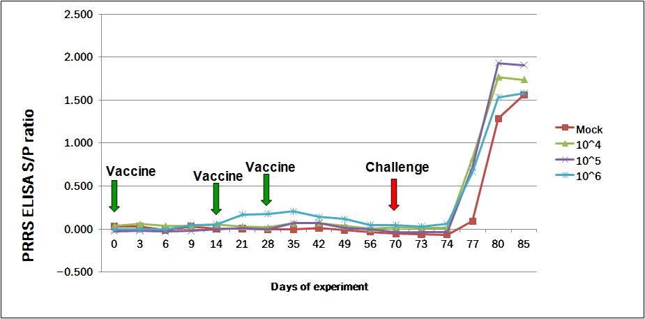 PRRSV역가에 따른 BEI 처리 불활화 PRRS 바이러스 접종 후 항체가 변화