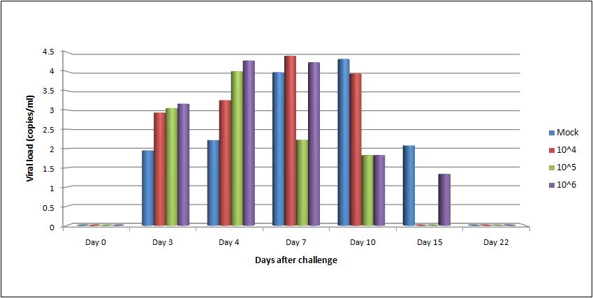 공격접종 후 백신 역가에 따른 바이러스 혈증 비교