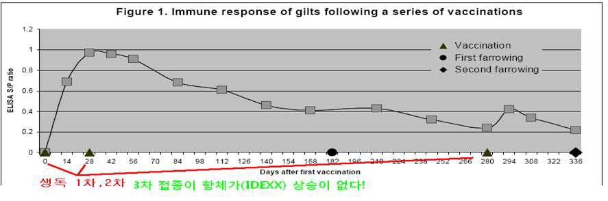 동종의 PRRS 바이러스 접종 후 PRRS 항체가의 변화