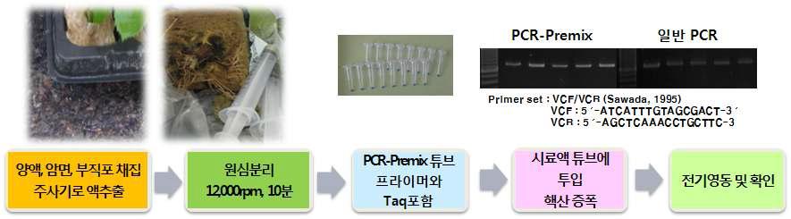 PCR-Premix와 원심분리 기법을 이용한 장미 뿌리혹병 간편진단 기술 개발