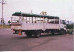 일반 돼지수송차량