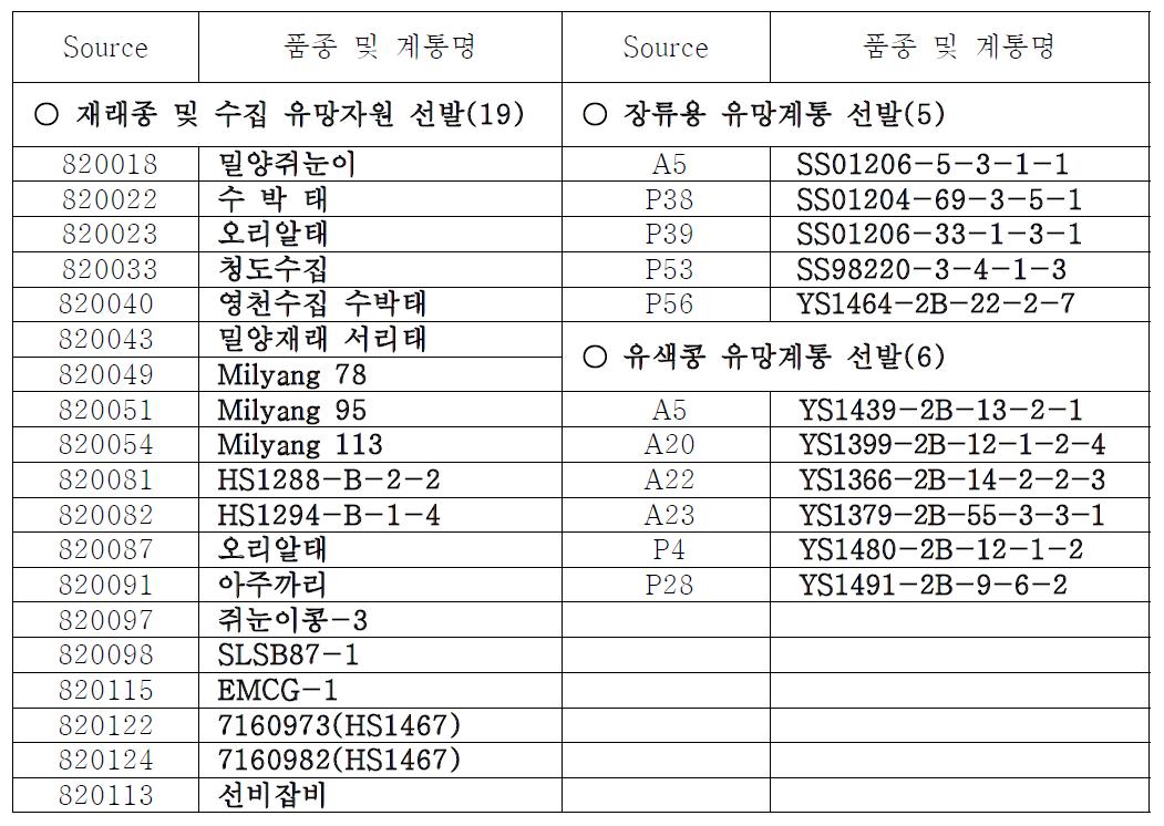 1차년도 최종선발 유망계통