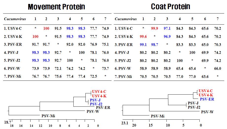이동 및 외피단백질 유전자 염기서열 분석에 의한 USV4 계통분류.