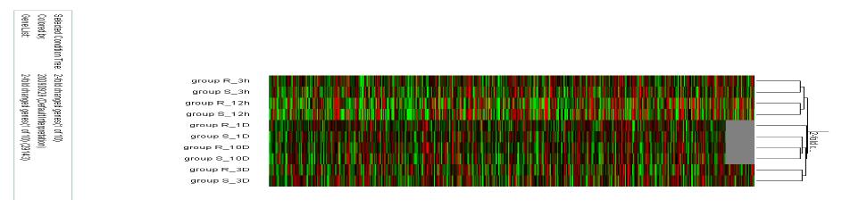 유전자 발현이 2-fold 이상의 변화를 보이는 유전자들의 gene clustering tree.