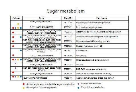 Sugar metabolism에 관여하는 유전자들.