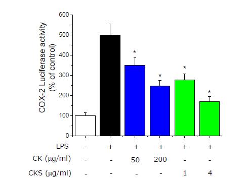 Effects of CK and CKS on COX-2-dependent luciferase gene expression.