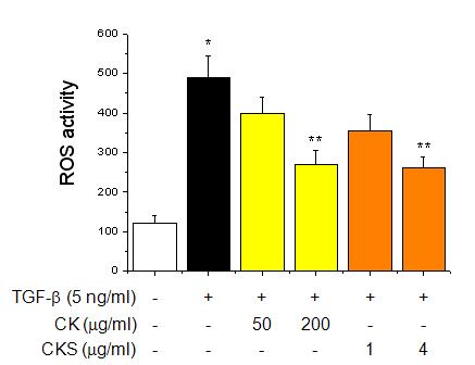 Effects of CK and CKS on ROS activity in bronchial epithelial cells.