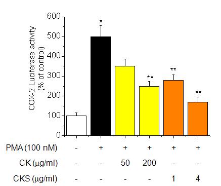Effects of CK and CKS on COX-2 luciferase activity in bronchial epithelial cells.