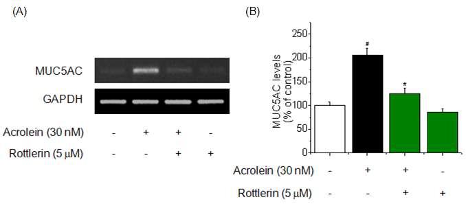 Effects of PKC inhibitor (Rottlerin) on acrolein-induced δ MUC5AC mRNA expression and protein levels in bronchial epithelial cells.