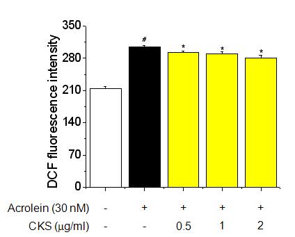 Effects of CKS on acrolein-induced ROS generation in bronchial epithelial cells.