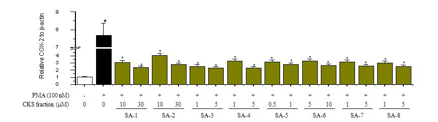 Effects of CKS fraction on COX-2 gene expression in bronchial epithelial cells.