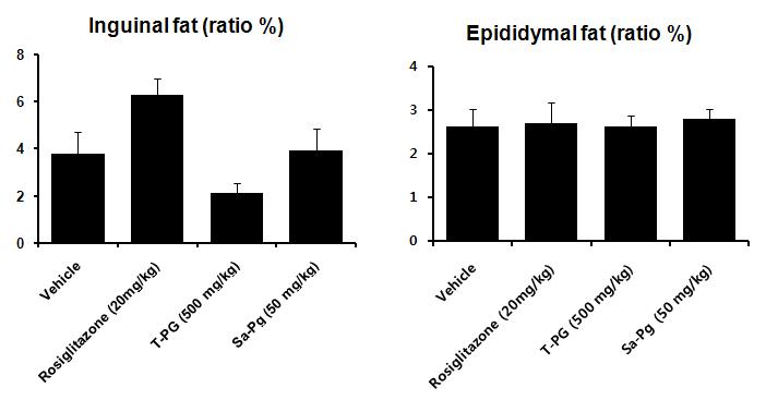 Effect of Platycodon grandiflorum-derived total extract and saponin on relative-fat pad weights to body weight in BKS-Leprdb/db mice.