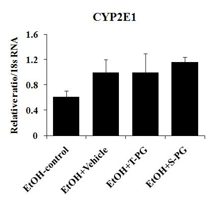 Effects of Platycodon grandiforum-derived total extract and saponin administration daily for 6 weeks on hepatic CYP2E1 mRNA expression in tOH-treated mice.