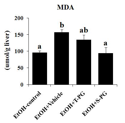 Effects of Platycodon grandiforum-derived total extract and saponin administration daily for 6 weeks on hepatic lipid peroxidation (MDA formation) in EtOH-treated mice.