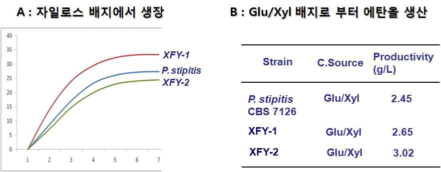 Pichia stipitis CBS 7126와 XFY-1과 XFY-2 균주의 자일로스배지에서 성장특성과 에탄올 생산성.