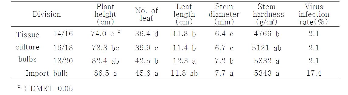 Comparison of plant growth character on oriental lily hybrid 'Sorbonne'('10)