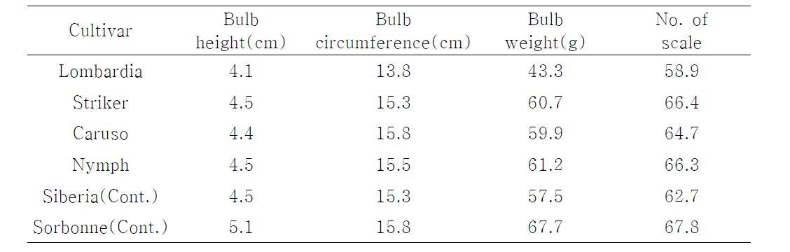 Bulb quality in planting time of Oriental Lilium hybrid new cultivar('10)