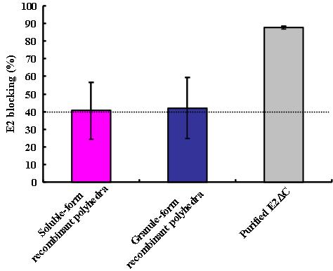 Blocking rate of anti-E2 antibodies induced in the sera of mice immunized withpurified E2ΔC, granule- or soluble-form recombinant polyhedra carrying E2ΔC. The levels of E2-specific antibodies in the sera were measured using a CSFV antibody test kit. The test samples were considered serologically positive when the blocking percentage was ≥ 40%. Blocking percentages are expressed as the mean ± SD (n = 3).