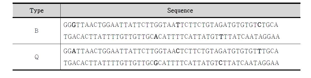 Bemisia tabaci original sequence from the in NCBI database